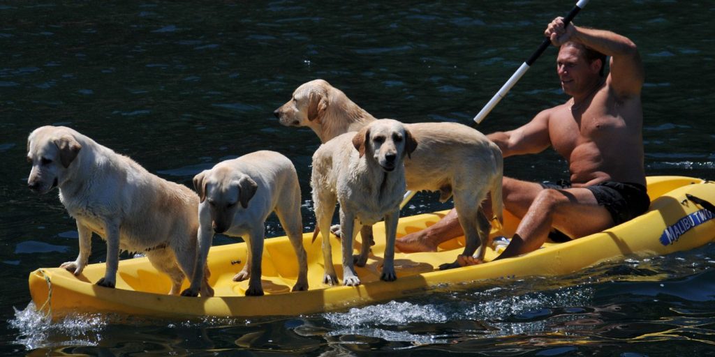 Top 8 Kayaks for Dogs to Take Your Best Friend on Water With You (Summer 2022)