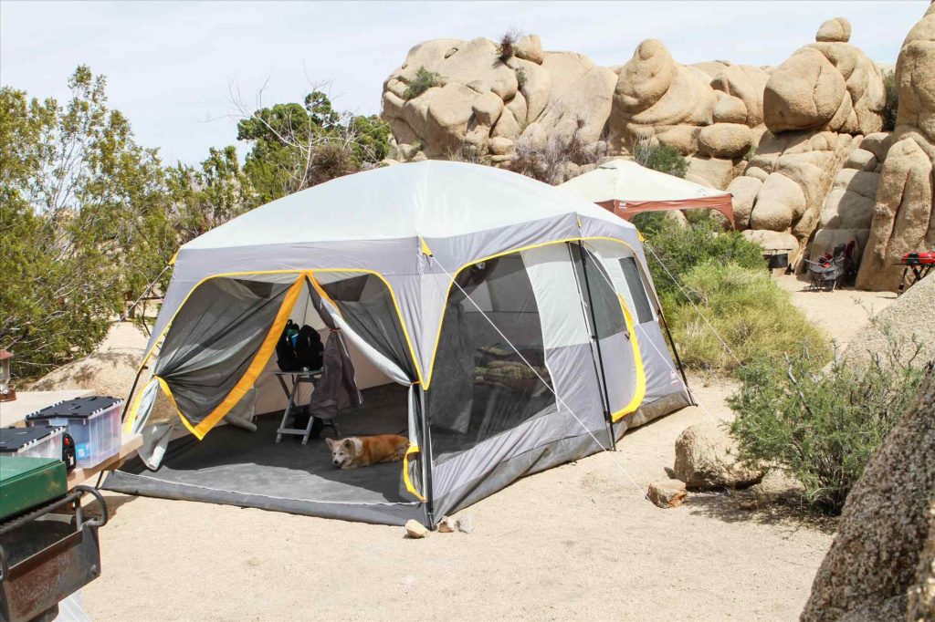 Best 6 Person Tents - Get Enough Space For Everyone! (Summer 2022)