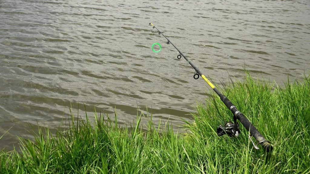 5 Best Spinning Rods for Trout — Great Take of Fish is Guaranteed! (Summer 2022)