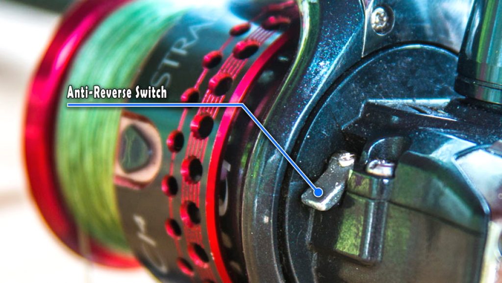 10 Best Surf Fishing Reels - Don't Let The Fish To Get Away! (Summer 2022)