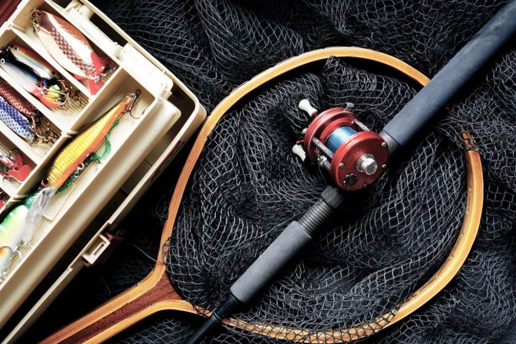 10 Best Saltwater Fishing Rods for an Awesome Fishing Experience (Summer 2022)