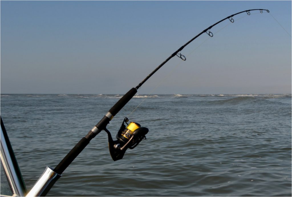 10 Best Saltwater Fishing Rods for an Awesome Fishing Experience (Summer 2022)