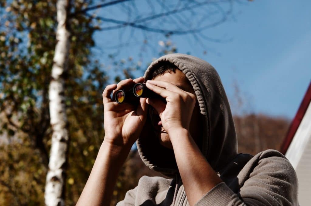 8 Best Compact Binoculars to Boost Your Outdoor Experience (Summer 2022)