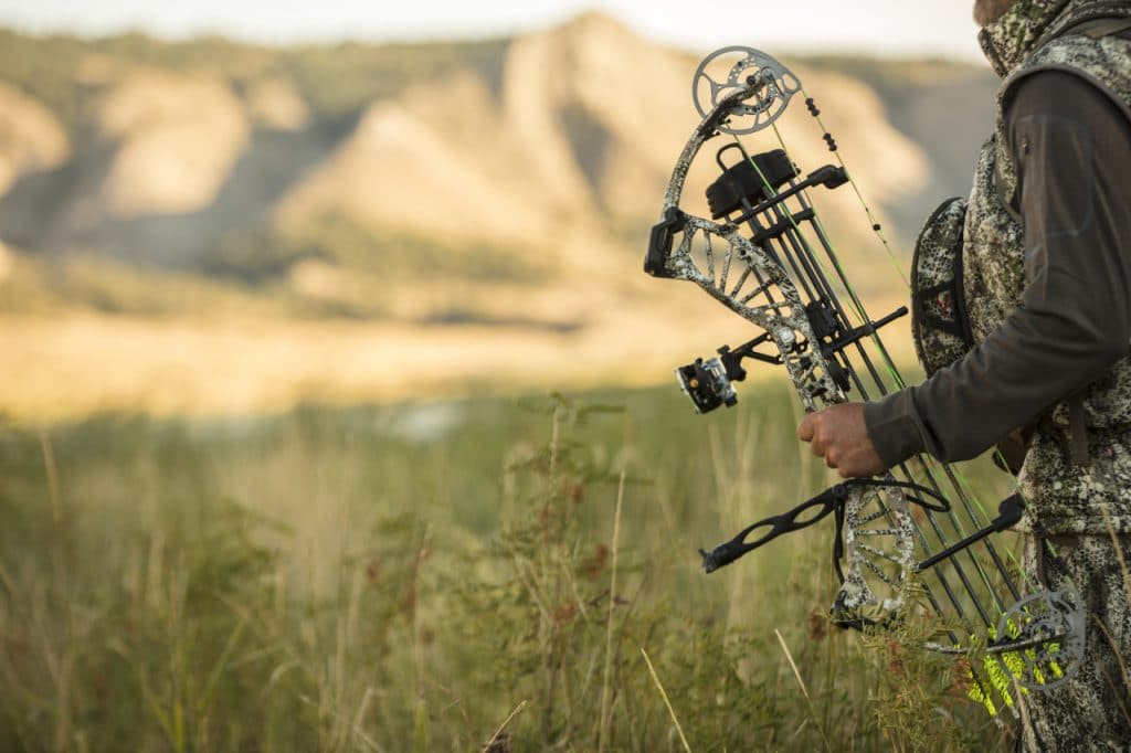 8 Best Compound Bows - Precise and Reliable Weapon (Summer 2022)