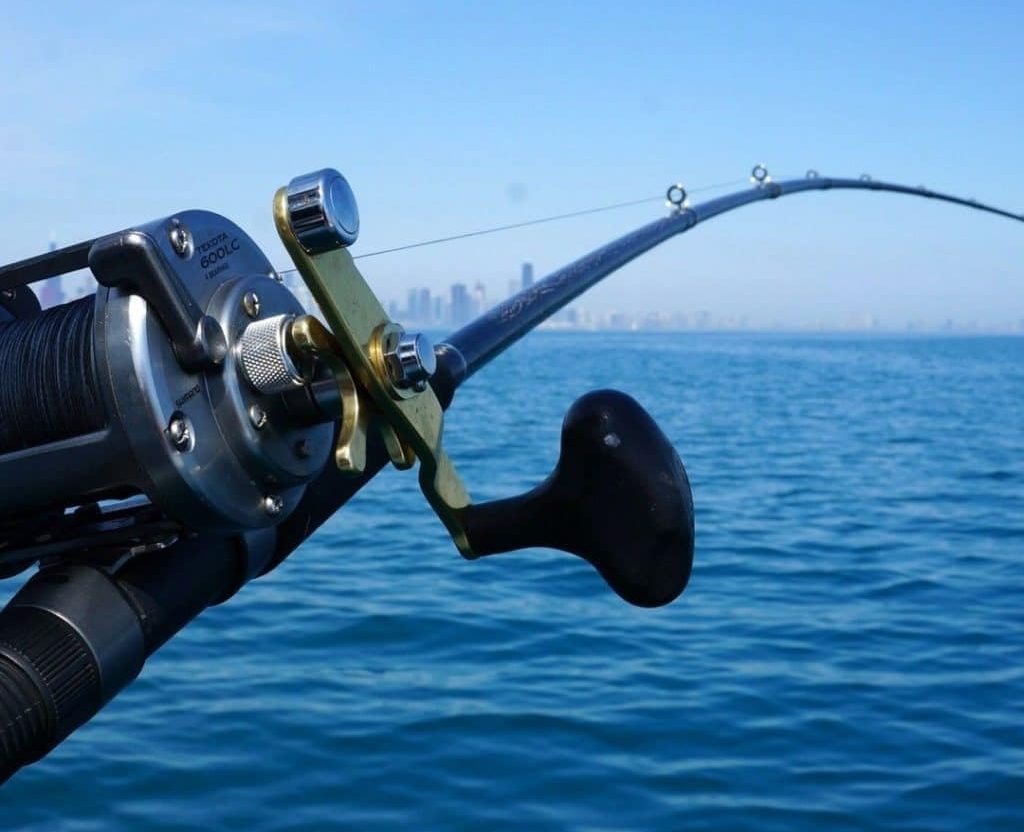 12 Best Fishing Reels To Make Fishing More Fun and Productive for You (Summer 2022)