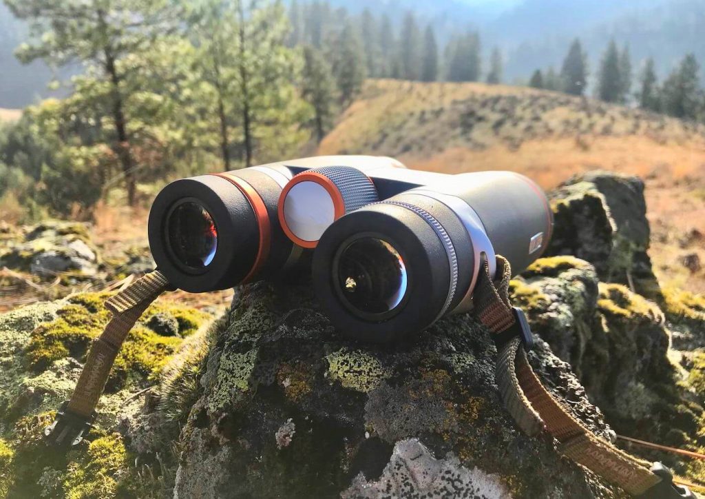 10 Best Binoculars for Hunting – Sharp Image in All Weather Conditions! (Summer 2022)