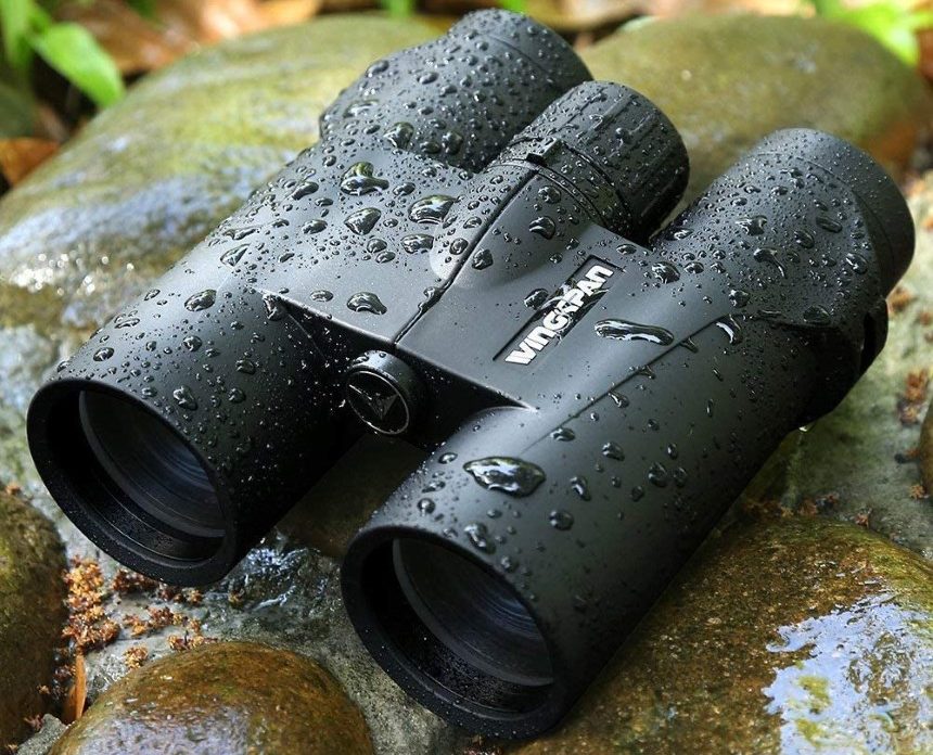 5 Best Binoculars for Wildlife Viewing - Reviews and Buying Guide (Summer 2022)