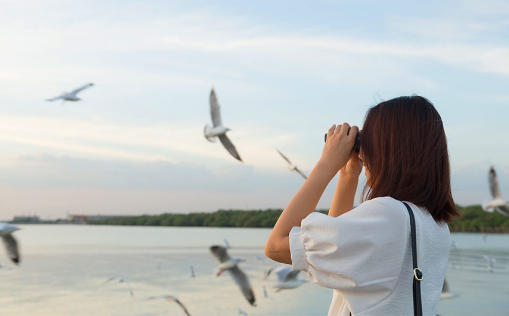 10 Best Binoculars for Bird Watching – Easier Way to Spot a Bird! (Summer 2022)