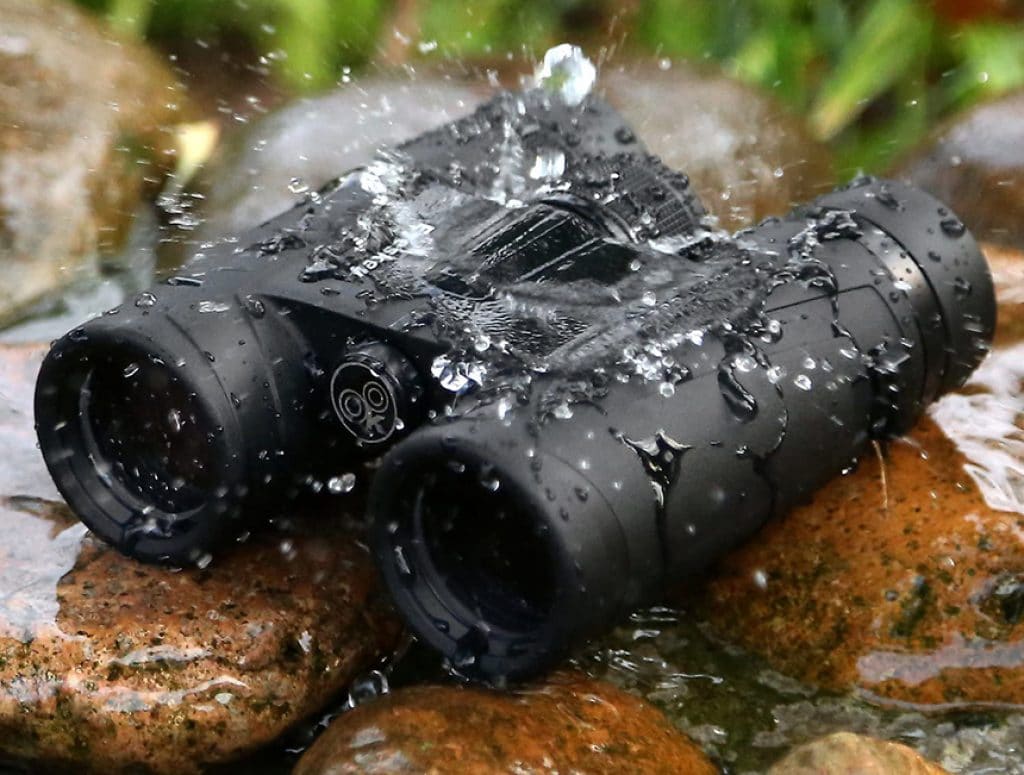 10 Best Binoculars under $100 – Explore the Nature with Proper Gear! (Summer 2022)