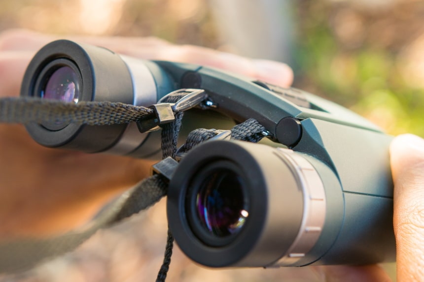 8 Best Binoculars Under 50 Dollars - Clear View for Low Price (Summer 2022)