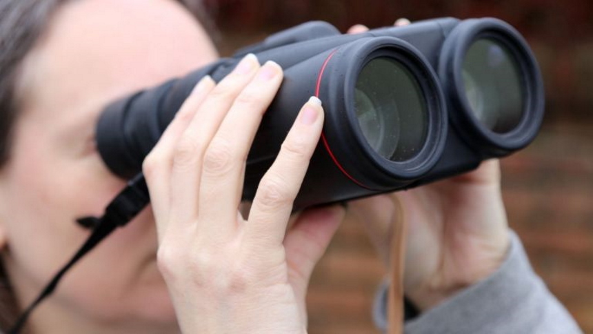 5 Best 10x42 Binoculars for Every Budget and Every Use (Summer 2022)