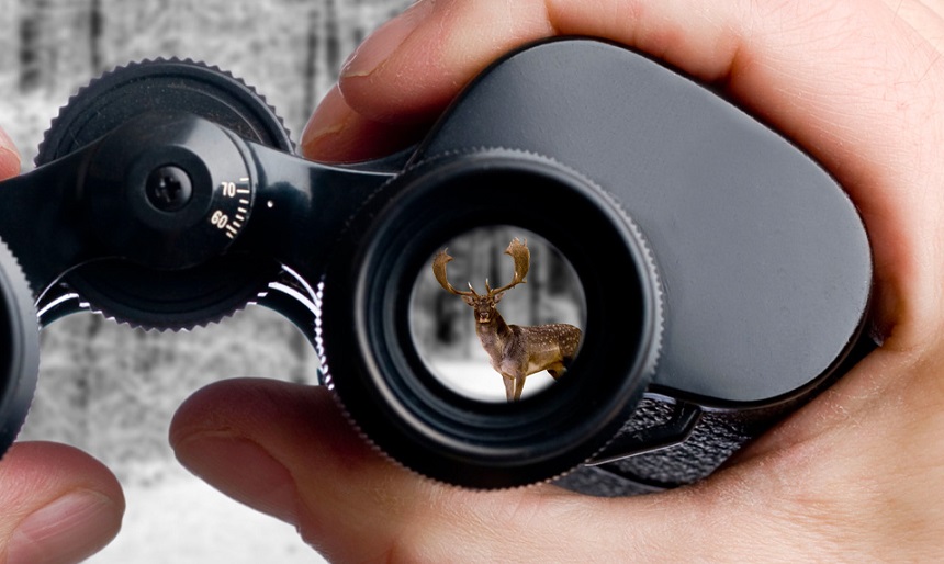 5 Best Binoculars Under $500 - Satisfy Your Observing Needs! (Summer 2022)